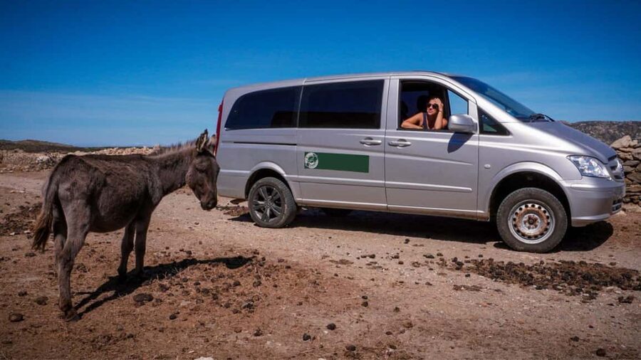 From Stintino: Asinara minivan tour - The final vehicle change and return crossing