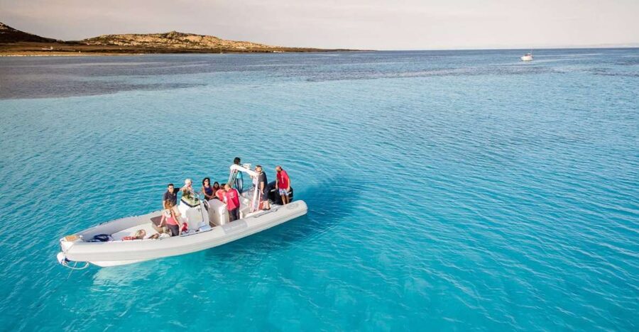 From Stintino: Half-day dinghy tour in Asinara Gulf - Key points to know before you go