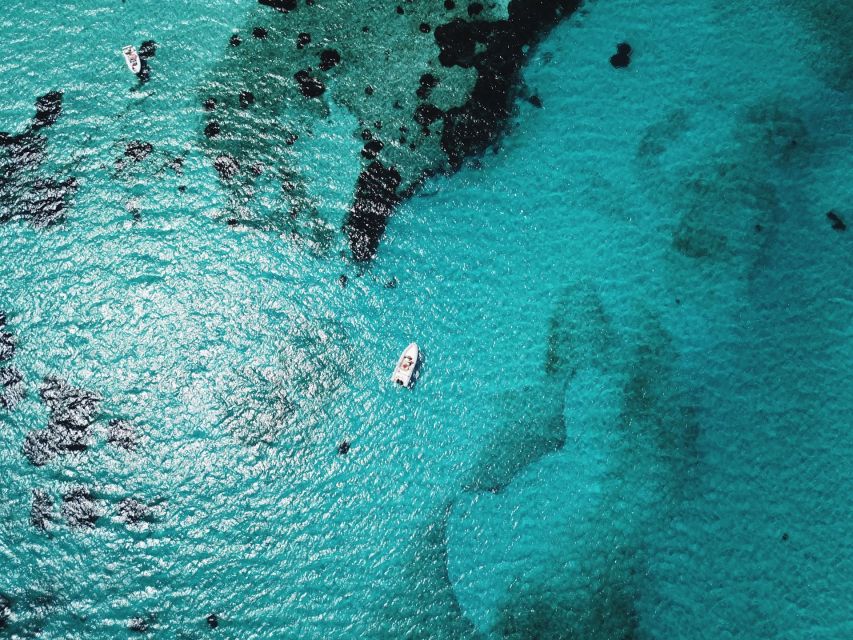 From Stintino: Half-day dinghy tour in Asinara Gulf - The skipper and bilingual guide