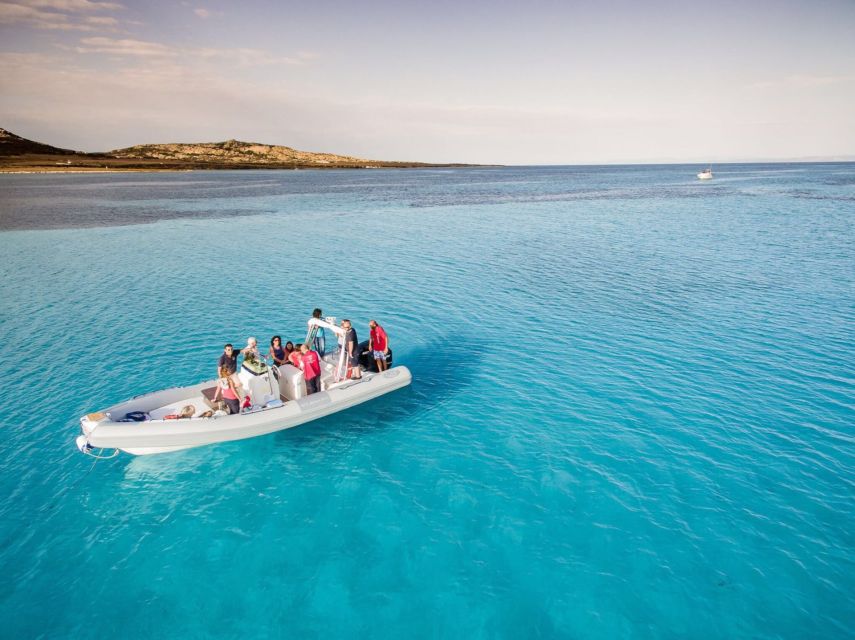 From Stintino: Half-day dinghy tour in Asinara Gulf - Why this three-hour trip works so well