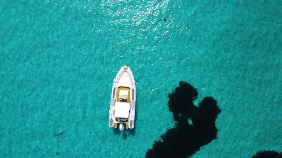 From Stintino: Half-day dinghy tour in Asinara Gulf - The Wild Asinara boat and what it means for you