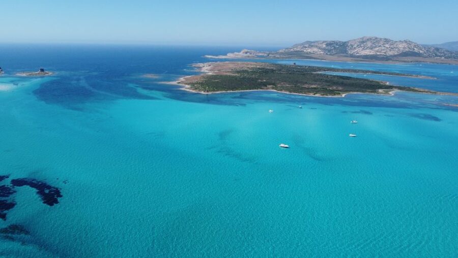 From Stintino: Half-day dinghy tour in Asinara Gulf - Isola Piana and the Fornelli natural pools