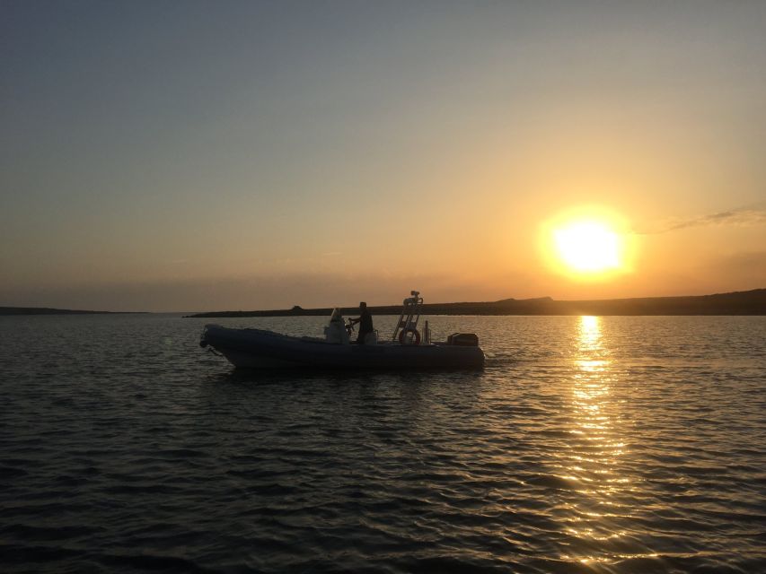 From Stintino: Half-day dinghy tour in Asinara Gulf - La Pelosa and the Tower from offshore