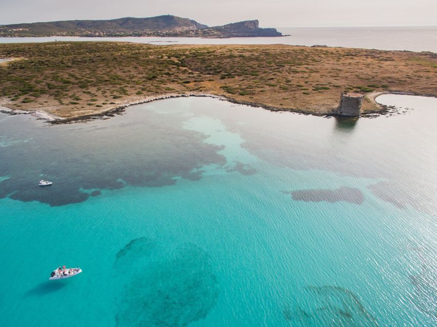 From Stintino: Half-day dinghy tour in Asinara Gulf - Capo Falcone, Roccia Forata, and Porri Island