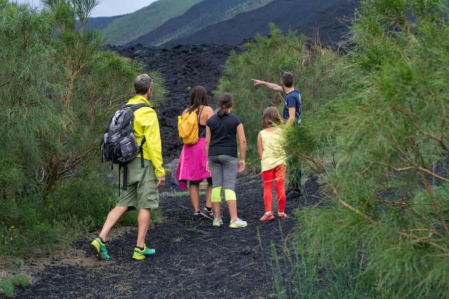 From Taormina: Etna Tour with Hiking, Cave Visit, & Tastings - Walking around Etna’s extinct craters
