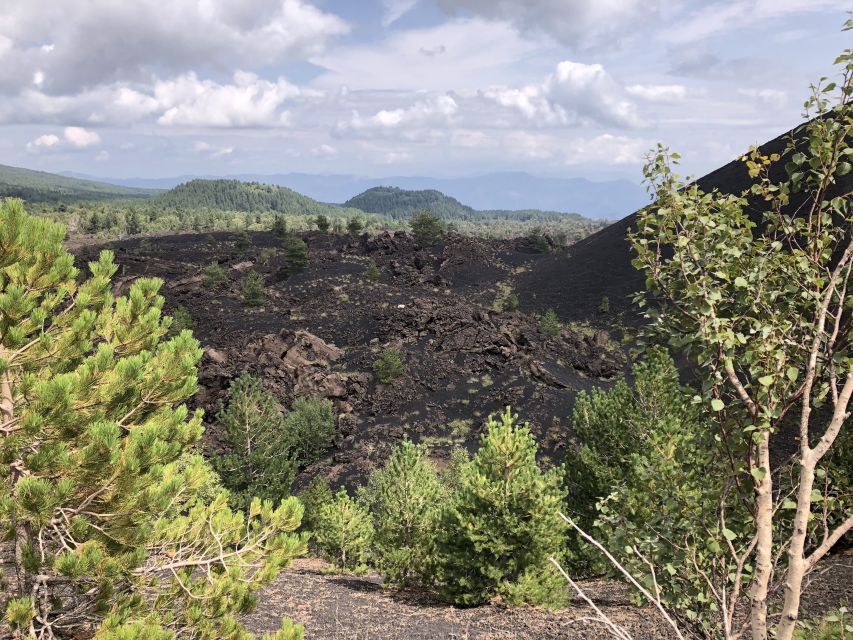 From Taormina: Full-Day Etna, Wine & Alcantara Canyons Tour - Practical details that matter