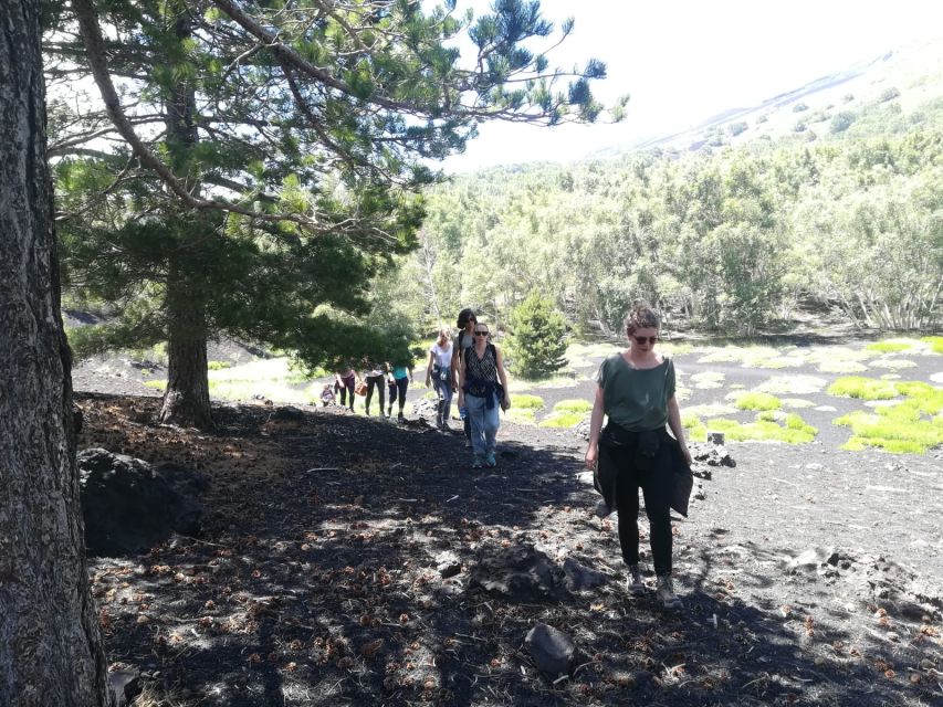 From Taormina: Half-Day Mount Etna Morning Trek - Who should book this trek?