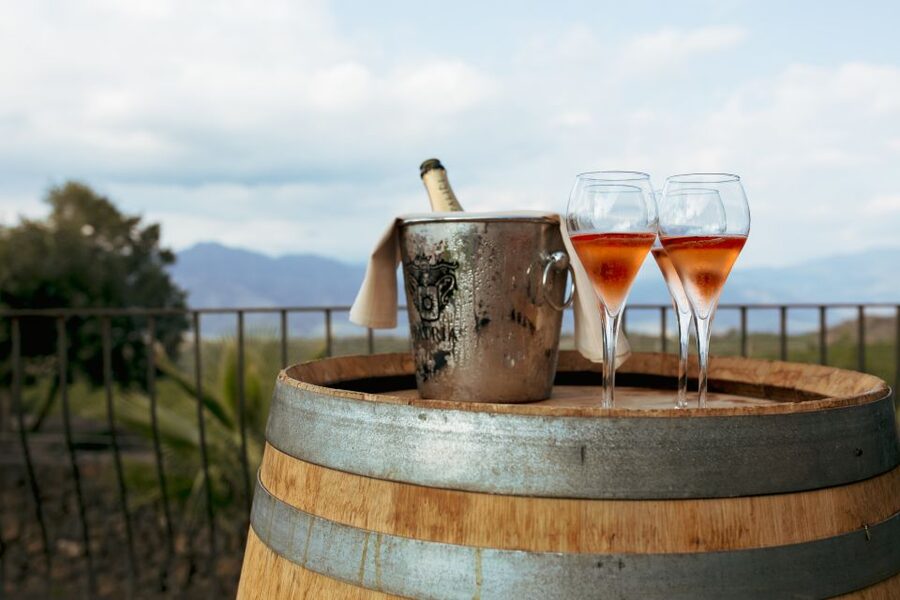 From Taormina: Mount Etna Food and Wine Tasting Tour - How much food and wine should you expect?