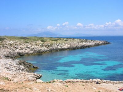 From Trapani: Cruise to Favignana and Levanzo with lunch