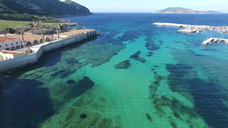 From Trapani: Day Cruise to Favignana & Levanzo with Lunch - Why this Egadi Islands cruise works well