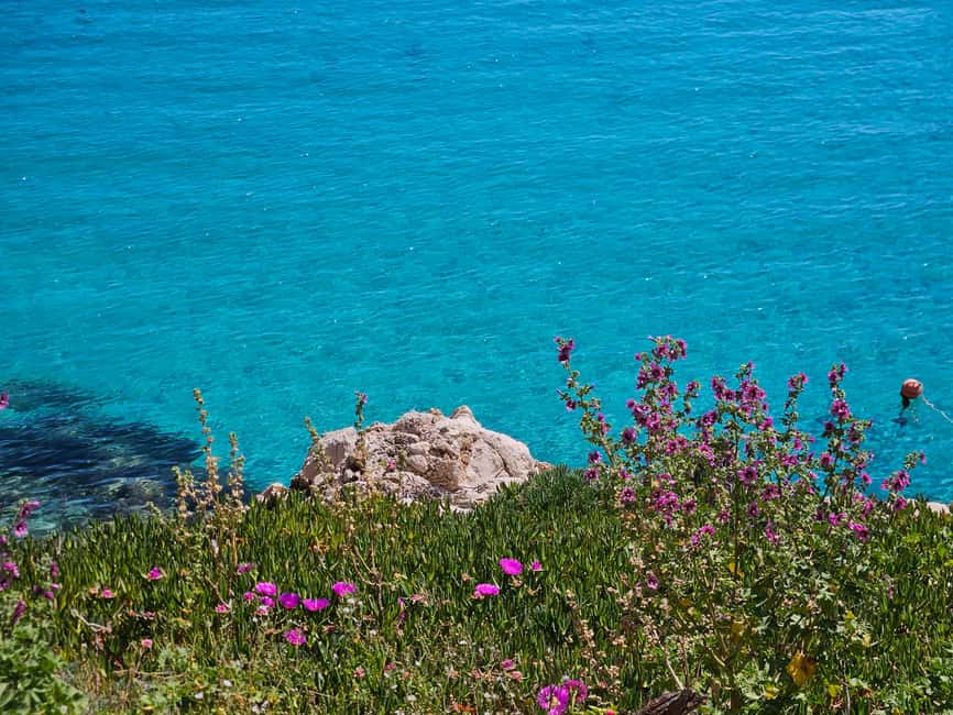 From Trapani: Favignana and Levanzo Shuttle Tour - Key points to know before you go