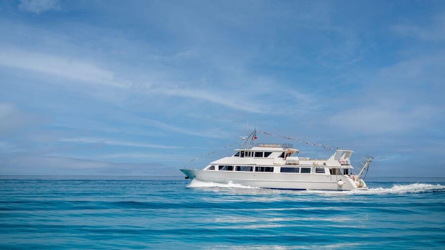From Tropea: Lipari Panarea Stromboli Night Cruise - Key details before you book