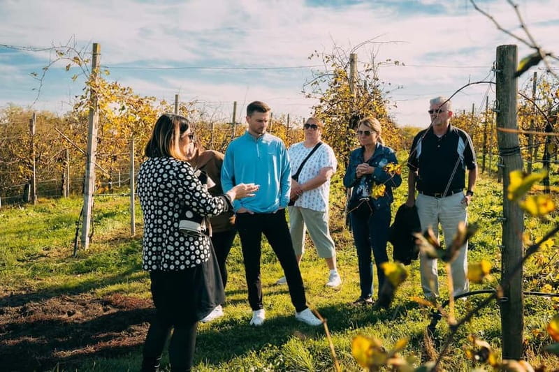 From Venice: Prosecco Hills and Wine Tasting Tour - What makes this Prosecco trip worth your time