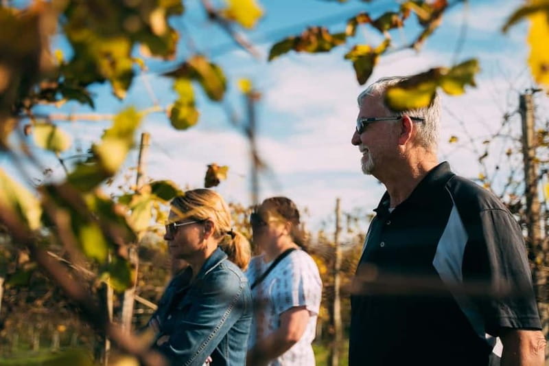 From Venice: Prosecco Hills and Wine Tasting Tour - Who will enjoy this day most?