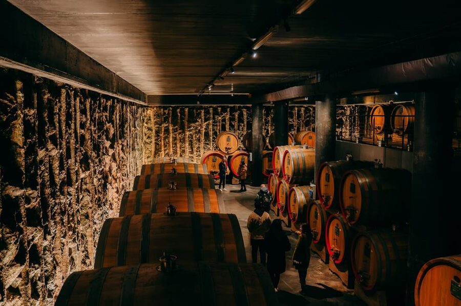 From Verona: Valpolicella and Amarone Wine Tasting Tour - Amarone and Ripasso, explained without the wine-school fog