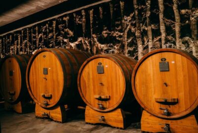 Valpolicella and Amarone Wine Tasting Tour