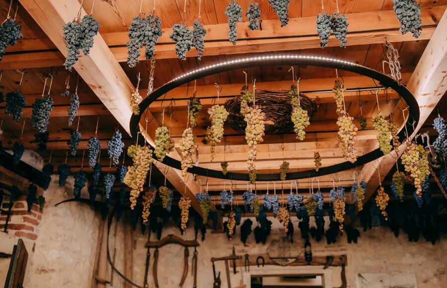 From Verona: Valpolicella and Amarone Wine Tasting Tour - What the guides add to the experience