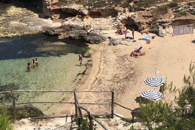 Full Day Tour by Car and Walking among the Apulian Beauties - Driver or guide? Know the difference