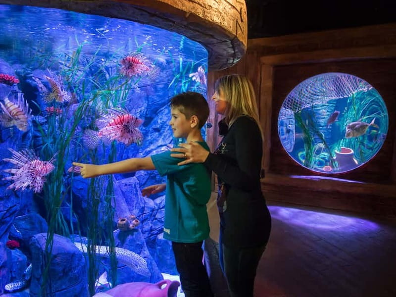Gardaland SEA LIFE Aquarium: Open Date Entry Ticket - How long should you allow?