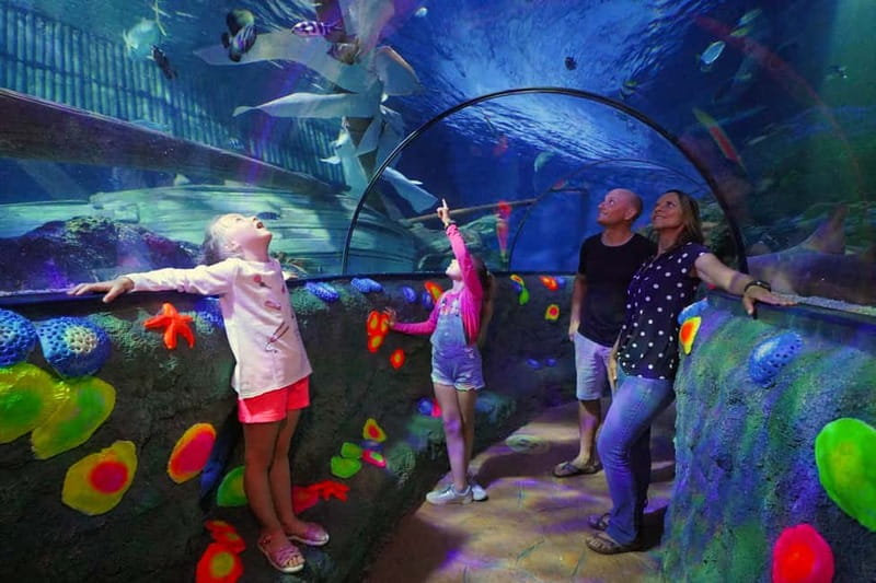 Gardaland SEA LIFE Aquarium: Open Date Entry Ticket - Starting at Gardaland SEA LIFE Aquarium