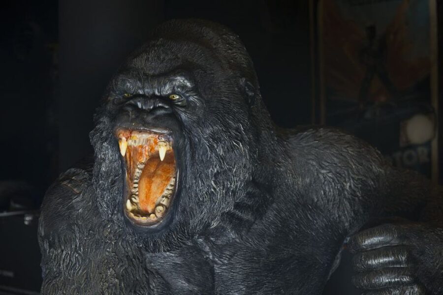 Genoa: Aquarium and FantaCinema Combined Ticket - Is $38 a fair price?