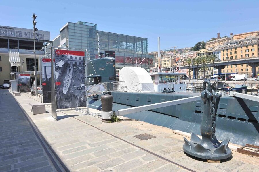 Genoa: Aquarium, Galata Museum and Submarine Entry Tickets - The Aquarium of Genoa: the main crowd-pleaser