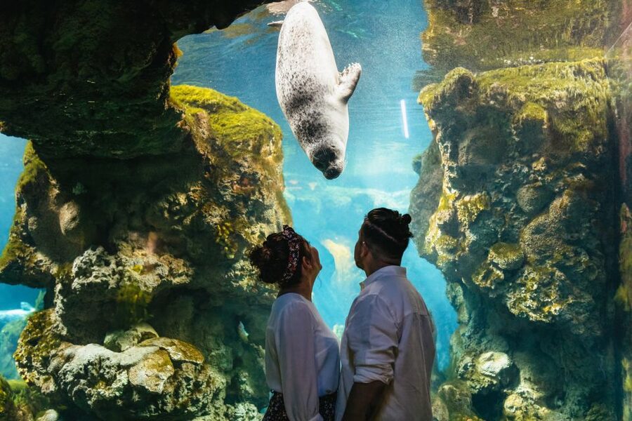 Genoa: Aquarium of Genoa Entry Ticket - Who will enjoy the Aquarium of Genoa most?