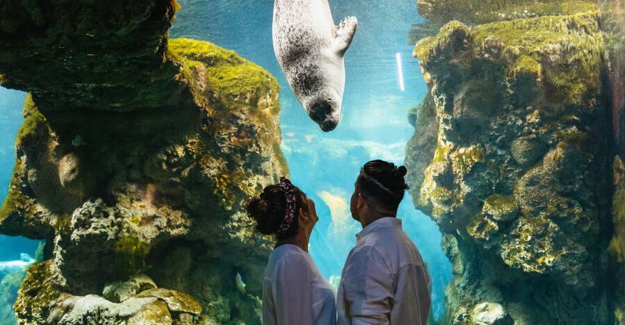 Genoa: Aquarium of Genoa Entry Ticket - Accessibility and family comfort