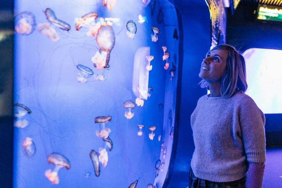 Genoa: Aquarium of Genoa with Lunch - Should you book the aquarium and lunch package?