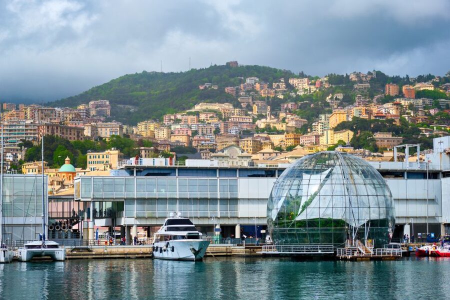 Genoa: Aquarium of Genoa with Lunch - Crowds, parking, and the small print