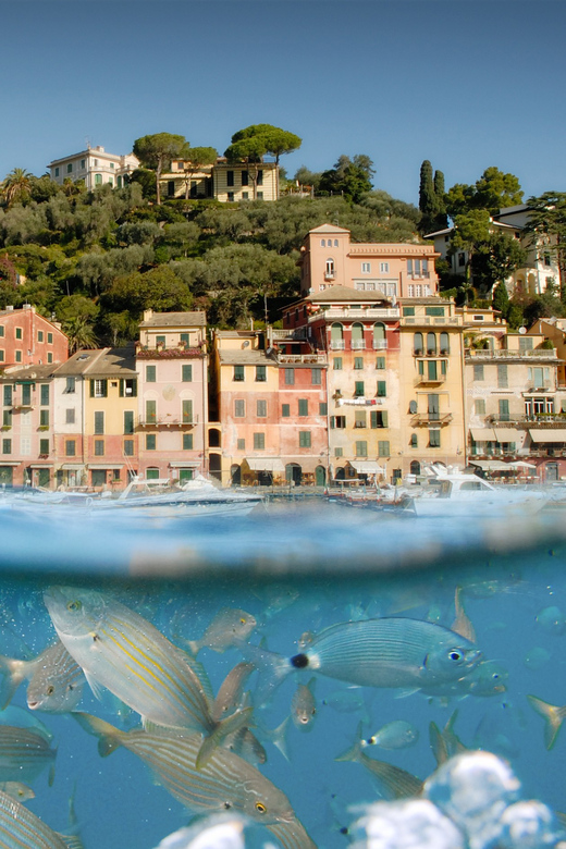 Genoa: Half-Day Tour to Portofino - A short arrival in Portofino