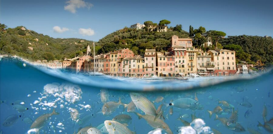 Genoa: Half-Day Tour to Portofino - Price, value, and what you are really buying