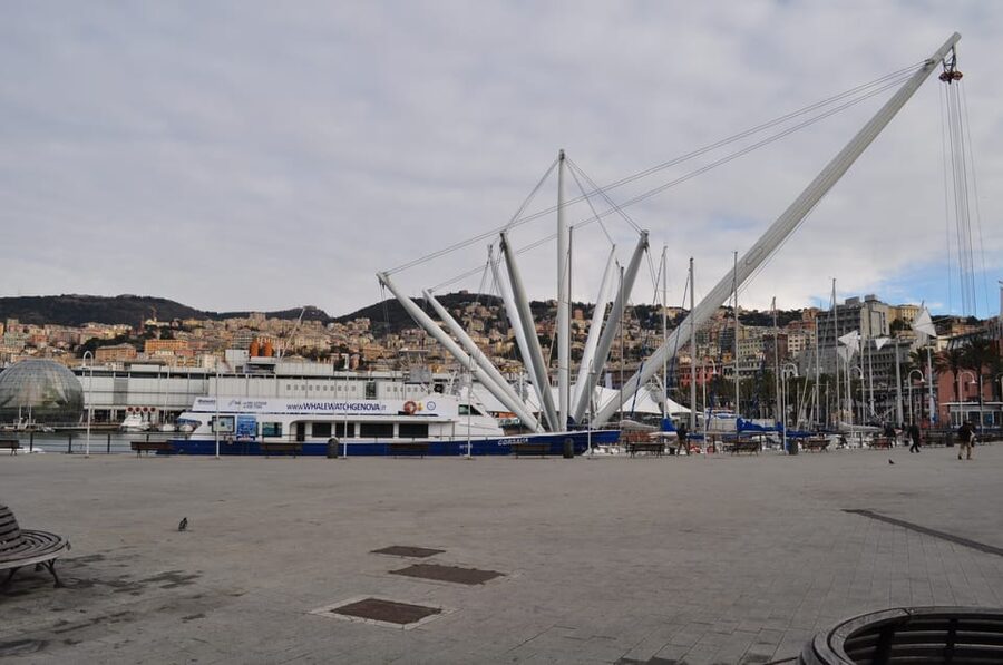 Genoa: Half-Day Tour to Portofino - Practical advice for making the most of it