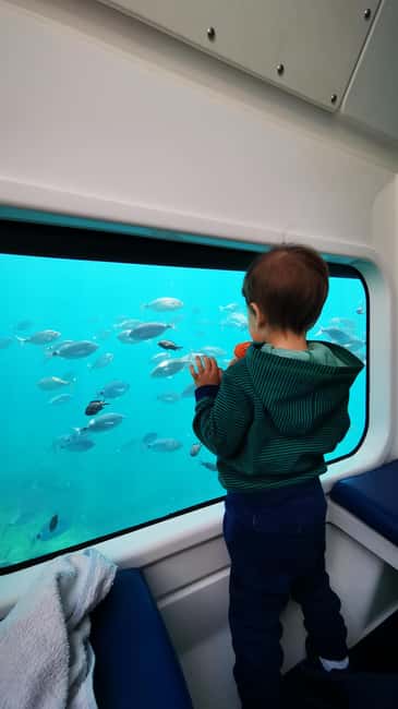 Giardini Naxos: Semi-Submarine Tour to Isola Bella - Who Will Enjoy This Most?