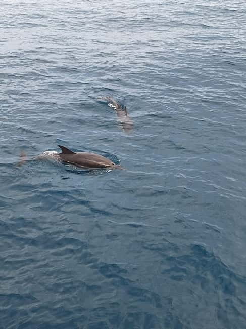 Giardini Naxos Taormina: Dolphin Watching Sunset Tour - Why this sunset boat trip works so well