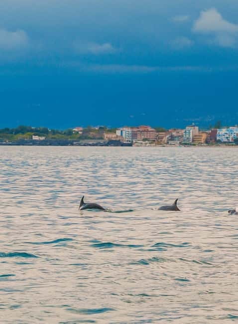 Giardini Naxos Taormina: Dolphin Watching Sunset Tour - Seeing Isola Bella from the Ionian Sea