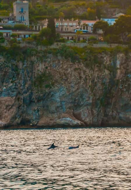 Giardini Naxos Taormina: Dolphin Watching Sunset Tour - Entering the Love Cave and Blue Cave