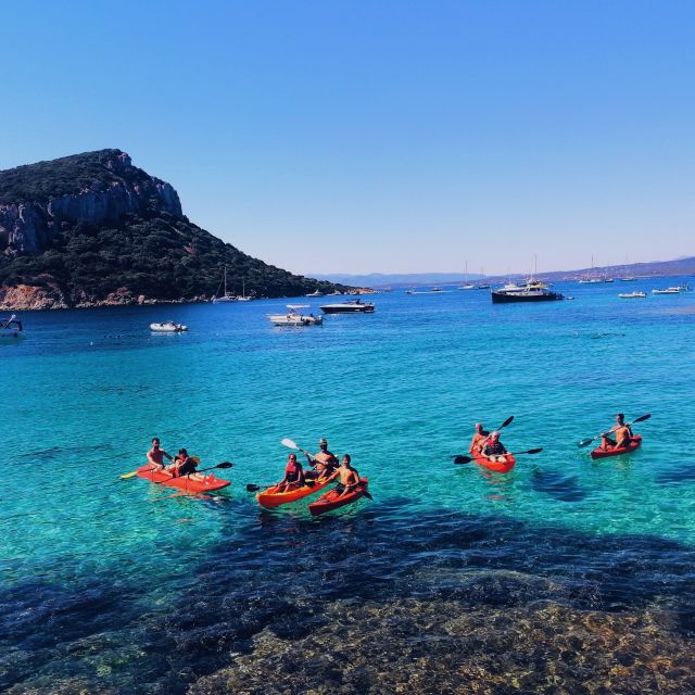 Golfo Aranci: Kayak Tour with Dolphins and Aperitif - Figarolo Island adds a sense of escape