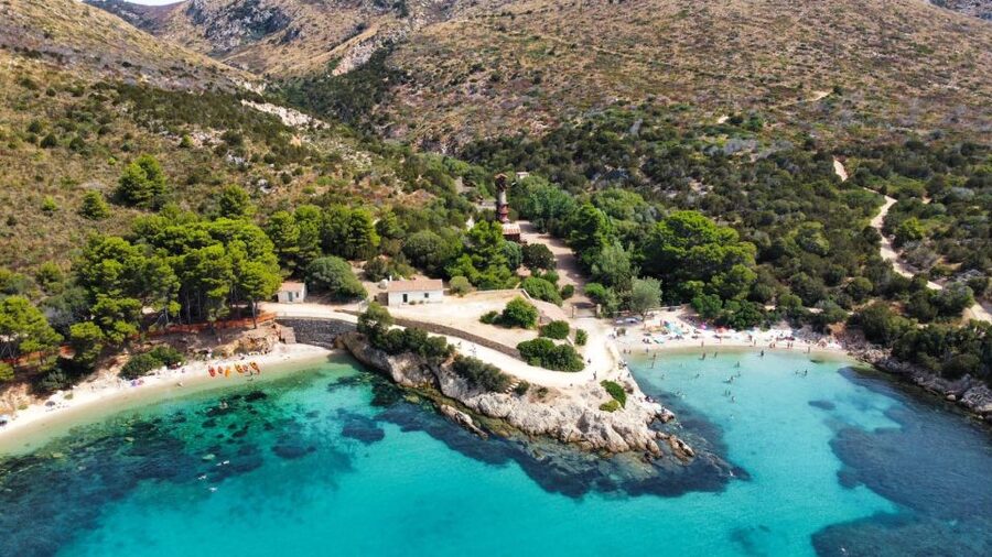 Golfo Aranci: Kayak Tour with Dolphins and Aperitif - The dolphin search is exciting because it is not staged