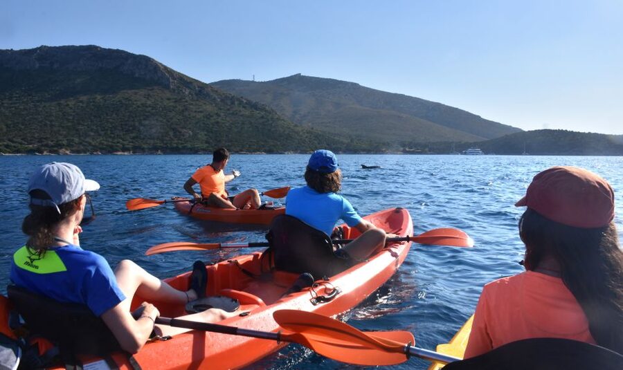 Golfo Aranci: Kayak Tour with Dolphins and Aperitif - Guides are the heart of the experience