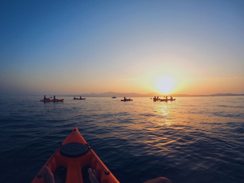 Golfo Aranci: Kayak Tour with Dolphins and Aperitif - Is $53 a fair price?