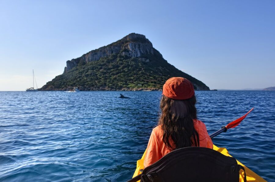 Golfo Aranci: Kayak Tour with Dolphins and Aperitif - Cala Moresca brings the best snorkeling