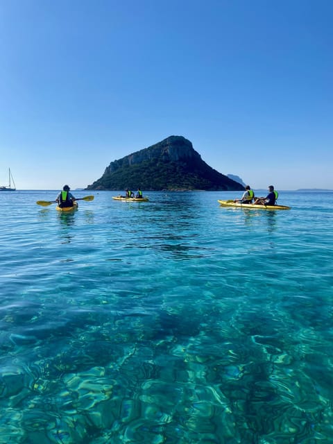 Golfo Aranci: Small group Kayak tour with Aperitif &dolphins - Key points at a glance