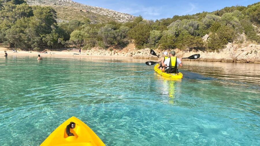 Golfo Aranci: Small group Kayak tour with Aperitif &dolphins - The fish farm and the dolphin watch