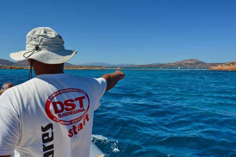 Golfo Aranci: Tavolara and Molara Snorkeling Dinghy Tour - Why the Tavolara Marine Protected Area Matters
