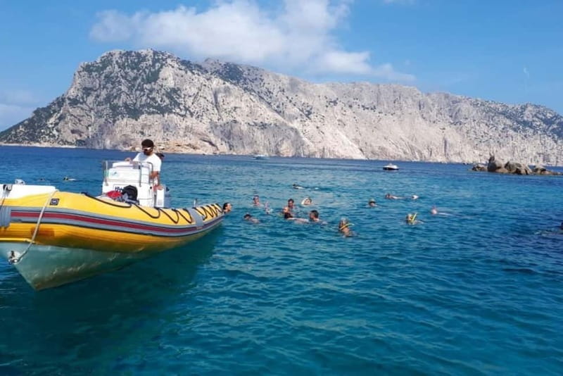 Golfo Aranci: Tavolara and Molara Snorkeling Dinghy Tour - Molara’s Natural Pools and Fish