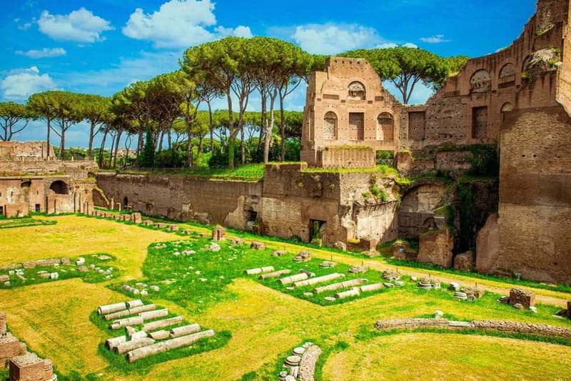 Guided Tour of the Colosseum Palatine Hill and Roman Forum - Price and what you receive for $51.24