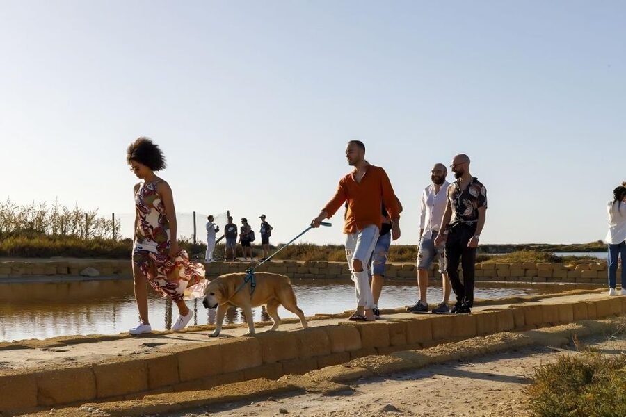 Guided tour of the Trapani Salt Pans and Salt Museum - The salt tasting: small, but more useful than it sounds