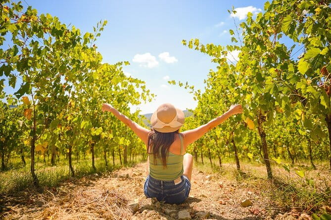 Half day Chianti Vineyard Escape from Florence with Wine Tastings - Following the Chianti Road through Tuscany