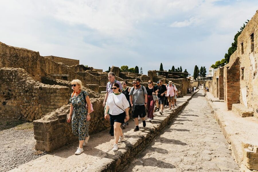 Herculaneum: Skip-the-Line Guided Tour with Archaeologist - Key points to know before booking